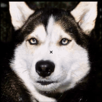 Real-time GANs